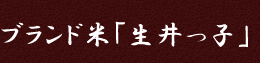 ブランド米「生井っ子」